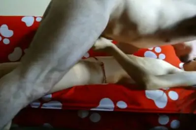 Live ABG Jakarta Bispak Hotel Bintang Lima Skandal Menggemparkan 2026